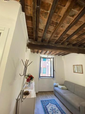 Apt Bruco Apartment Siena Exterior foto